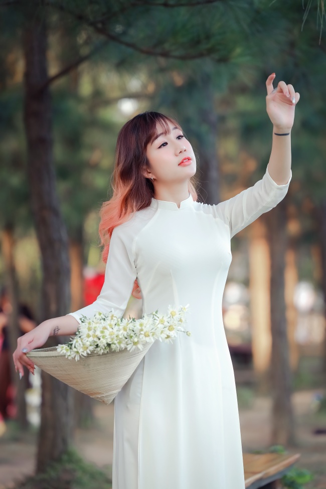 斗破苍穹 年番